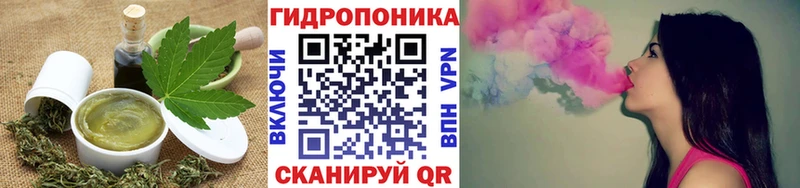 купить  цена  Костомукша  Canna-Cookies конопля 