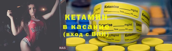 шишки Инта