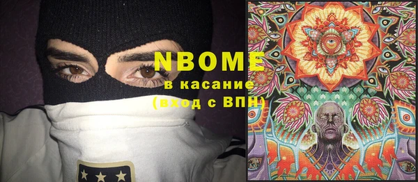 шишки Инта