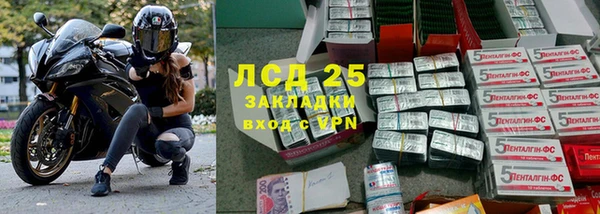 шишки Инта