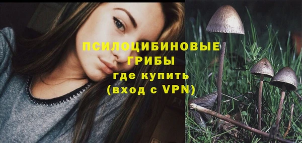 jwh Каменка