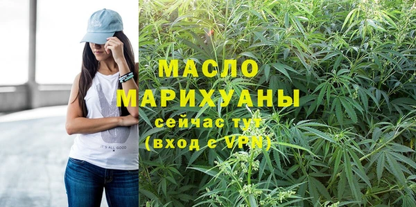 шишки Инта