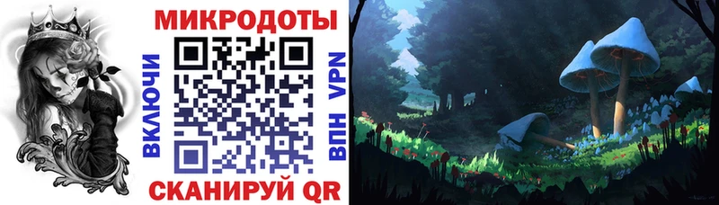 купить наркоту  Костомукша  Галлюциногенные грибы Psilocybe 