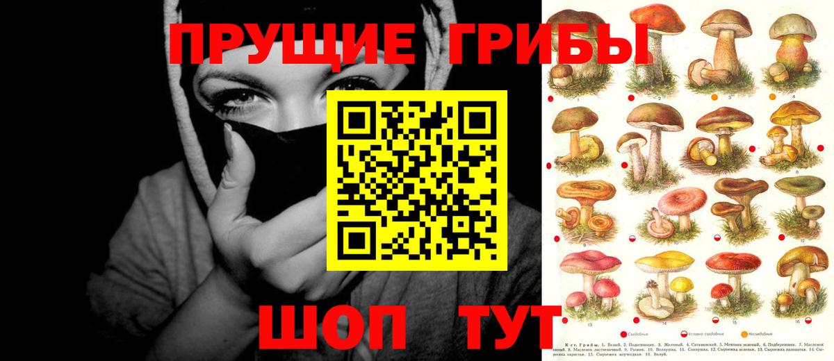 Галлюциногенные грибы Magic Shrooms  Псилоцибиновые грибы Psilocybine cubensis  Костомукша  Вход с VPN 